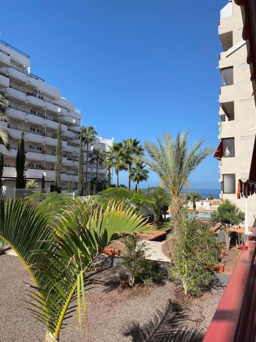 Delizioso Studio Residence Olympia A Playa De Las Americas Экстерьер фото